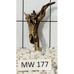 Mangrovewood 177