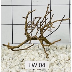 Talawa wood 04