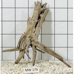 Mangrovewood 179