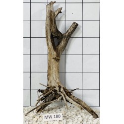Mangrovewood 180