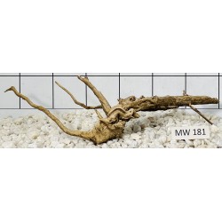 Mangrovewood 181
