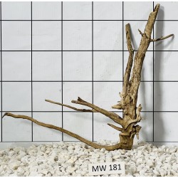 Mangrovewood 181