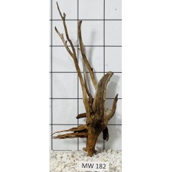 Mangrovewood 182