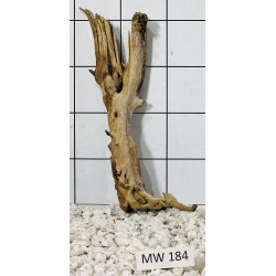 Mangrovewood 184
