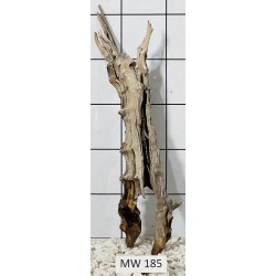 Mangrovewood 185