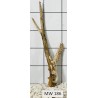 Mangrovewood 186