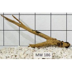 Mangrovewood 186