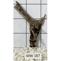 Mangrovewood 187