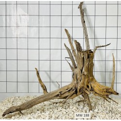 Mangrovewood 188