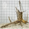 Mangrovewood 188