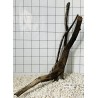 Mangrovewood 189