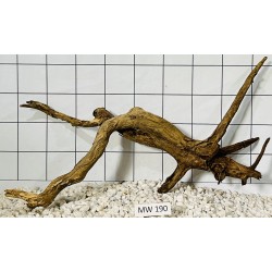 Mangrovewood 190