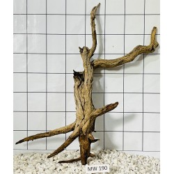 Mangrovewood 190