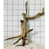 Mangrovewood 190