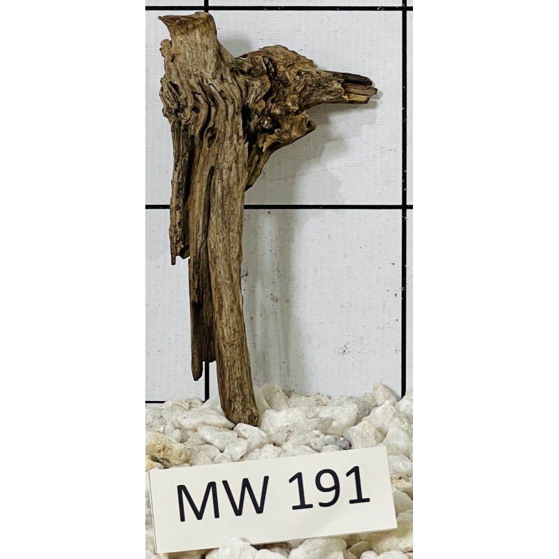 Mangrovewood 191