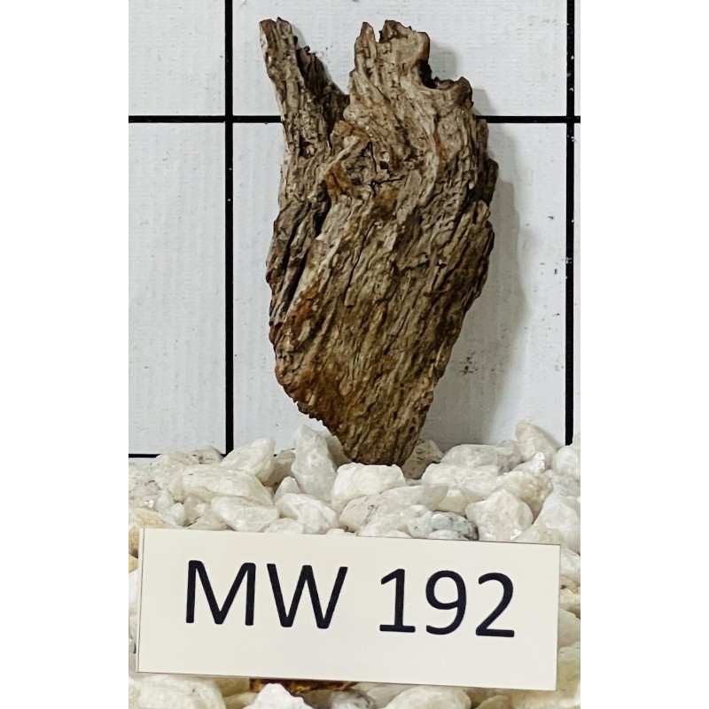 Mangrovewood 192
