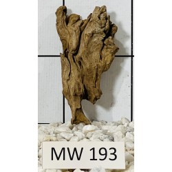Mangrovewood 193