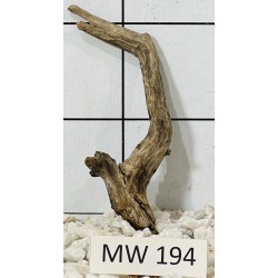 Mangrovewood 194
