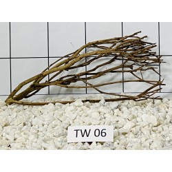 Talawa wood 06