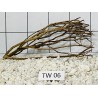 Talawa wood 06