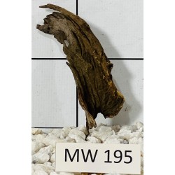 Mangrovewood 195