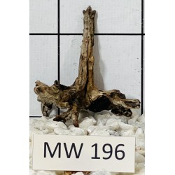 Mangrovewood 196