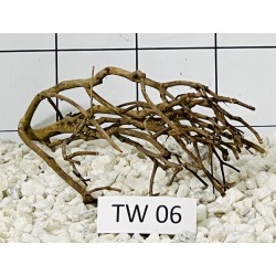 Talawa wood 06
