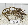 Talawa wood 06