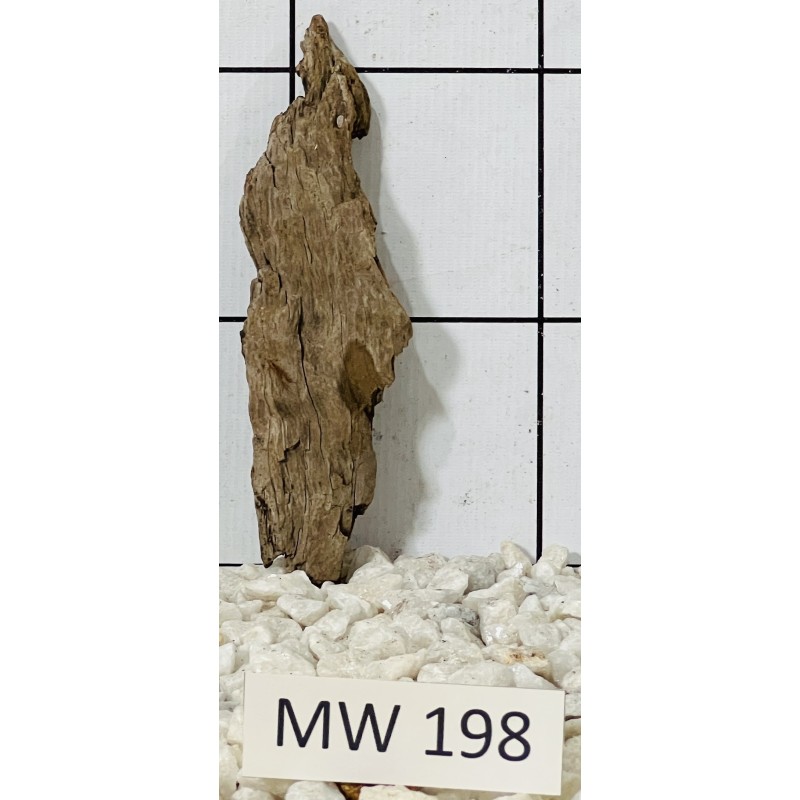 Mangrovewood 198