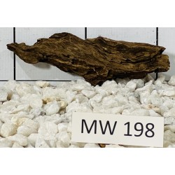 Mangrovewood 198