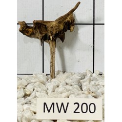 Mangrovewood 200