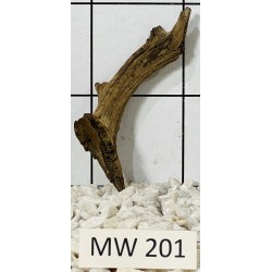 Mangrovewood 201