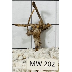 Mangrovewood 202