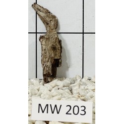 Mangrovewood 203
