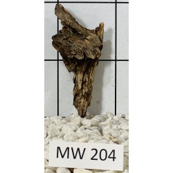 Mangrovewood 204