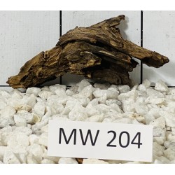Mangrovewood 204