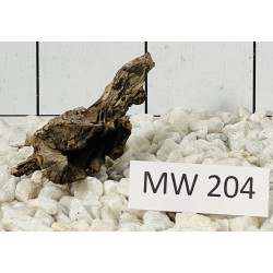Mangrovewood 204