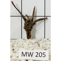 Mangrovewood 205