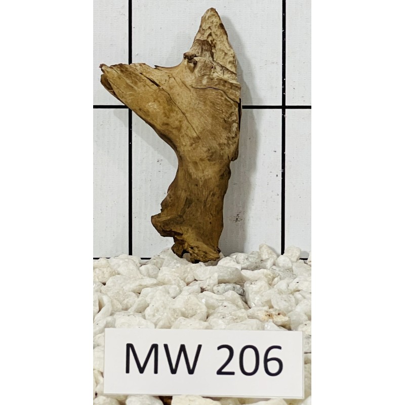 Mangrovewood 206