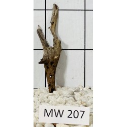 Mangrovewood 207