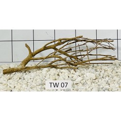 Talawa wood 07