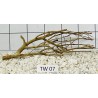 Talawa wood 07