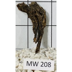 Mangrovewood 208