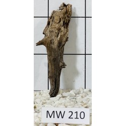Mangrovewood 210