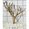 Talawa wood 08