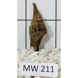 Mangrovewood 211