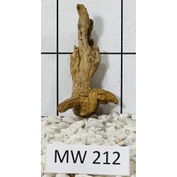 Mangrovewood 212