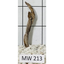 Mangrovewood 213