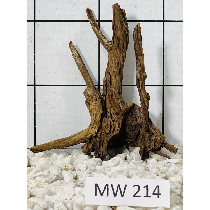 Mangrovewood 214