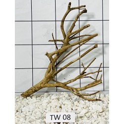 Talawa wood 08